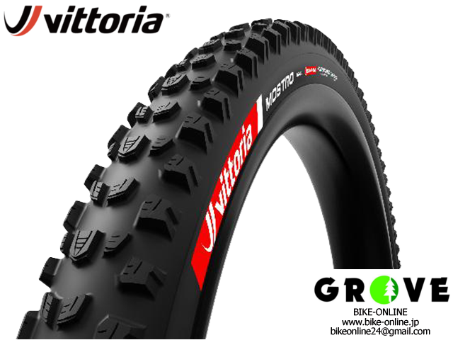 SCHWALBE シュワルベ [ PRO ONE TUBELESS EASY ] プロワン