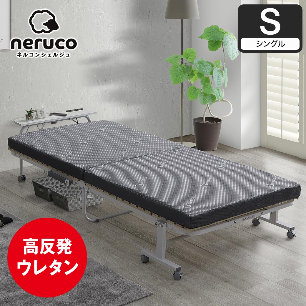 14013531.jpg?t=20241108113142