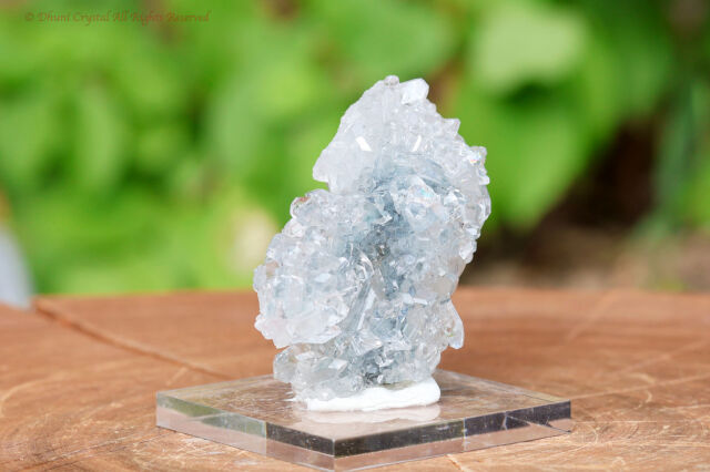 a985-3.jpg?t=20250719113653