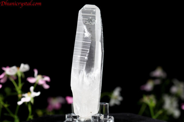 レムリアンシードクリスタル/ポイント(D557)