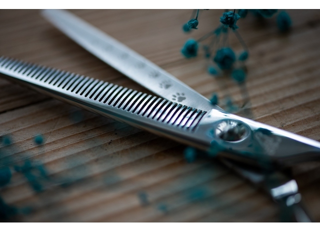 ドッグ シザーズ ジャパン マロン(Marron)セニング（Thinning） DIV