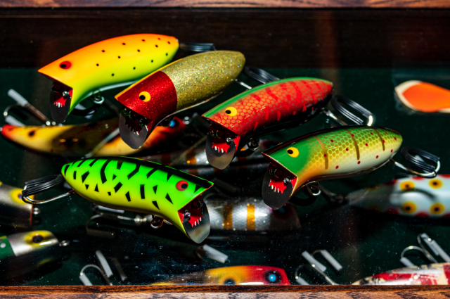 タマタマルアー『フロッギー』