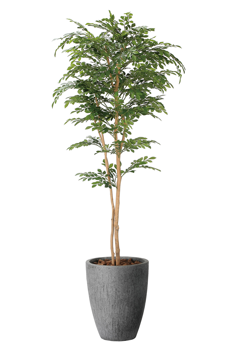 光触媒 光の楽園ナチュラルトネリコ 1.8m【インテリア フェイク