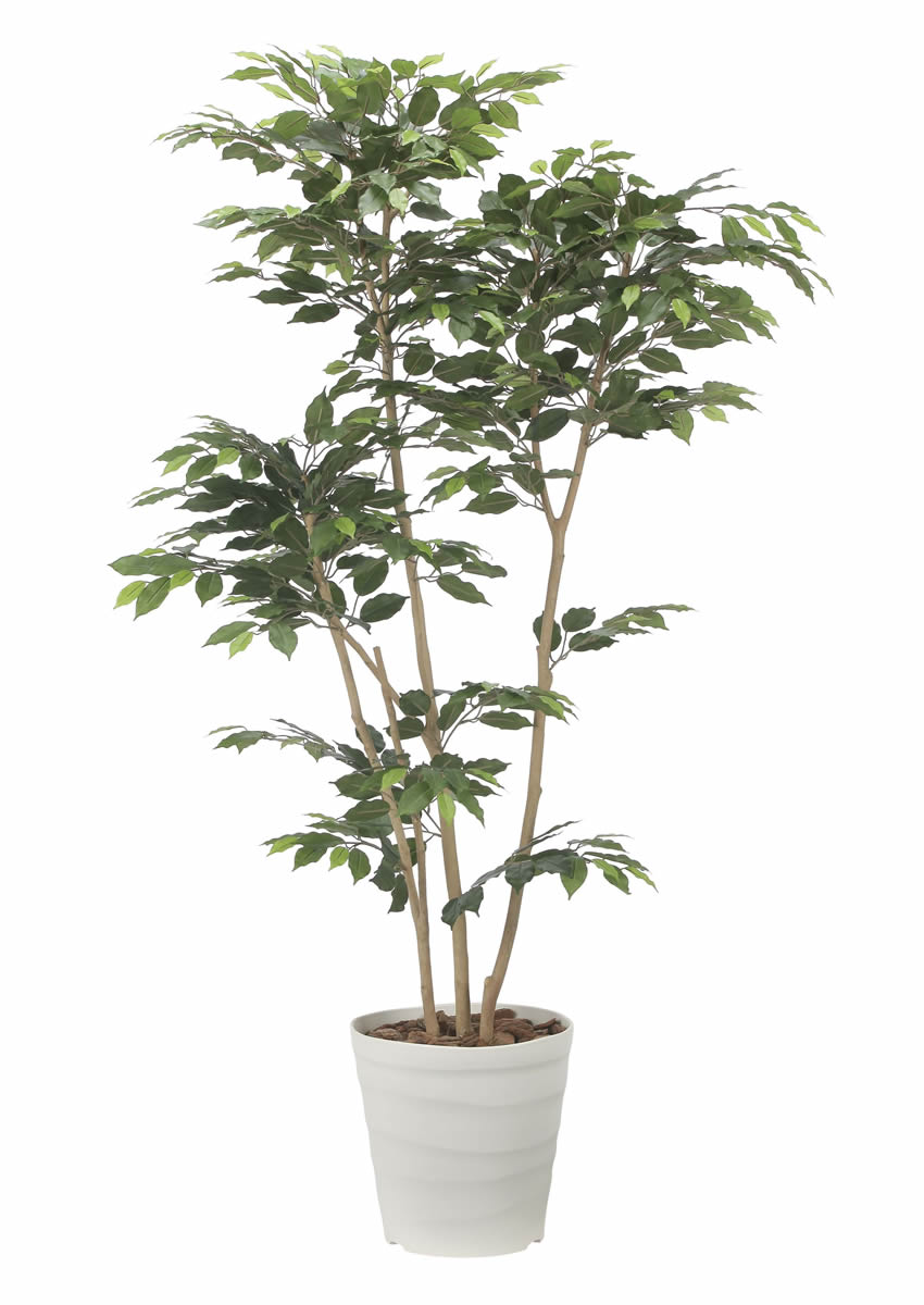 光触媒 光の楽園 デザインベンジャミン1.8m【インテリア フェイク