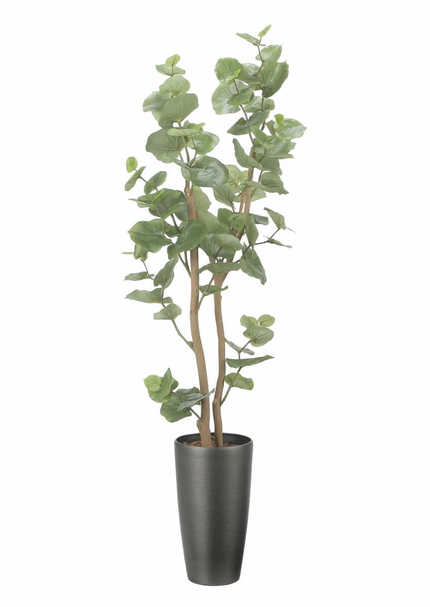 光触媒 光の楽園 スリムシーグレープ1.6m【インテリア フェイク