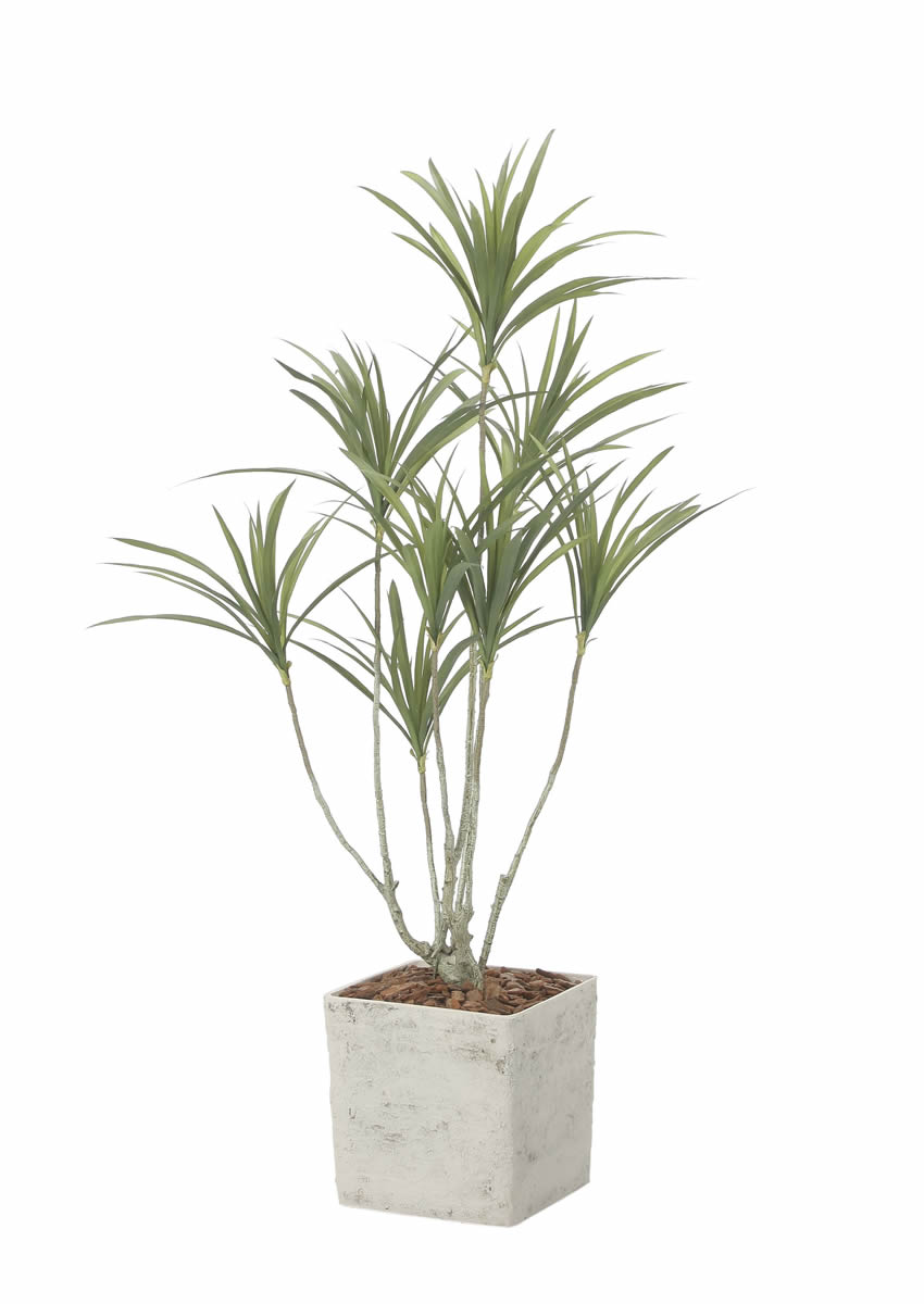 光触媒 光の楽園 インテリアドラセナ1.4（ポリ製）【インテリア