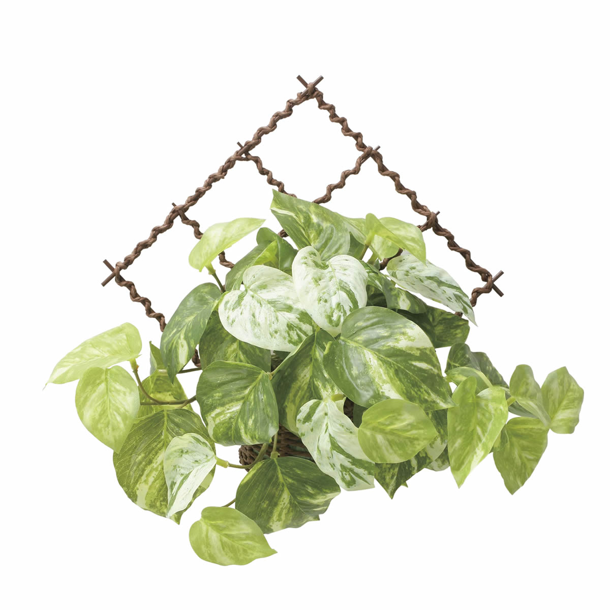 光触媒 光の楽園 壁掛けフレッシュマーブルポトス【アートフラワー