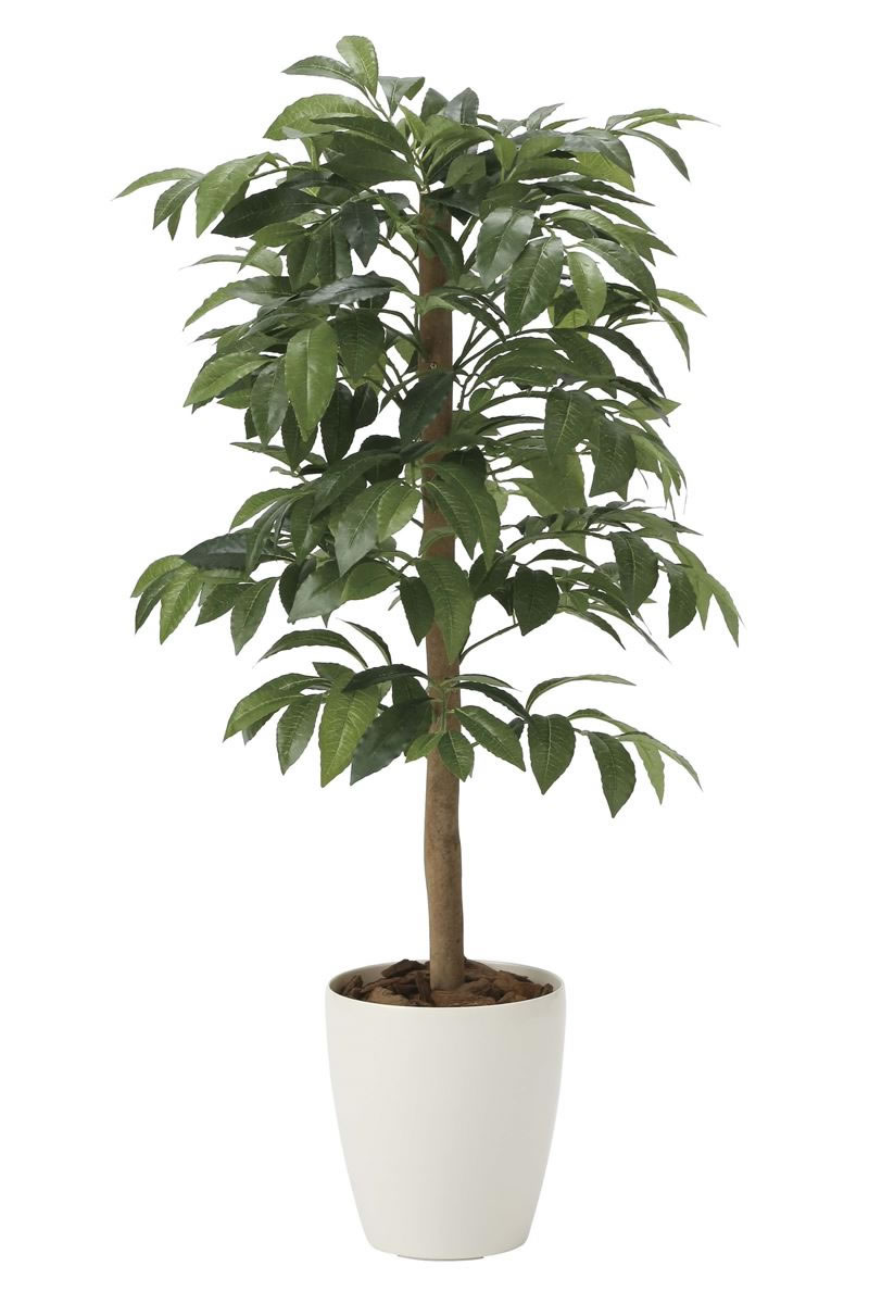 光触媒人工観葉植物ウォールグリーンフェイクグリーンデラックスアルデシア