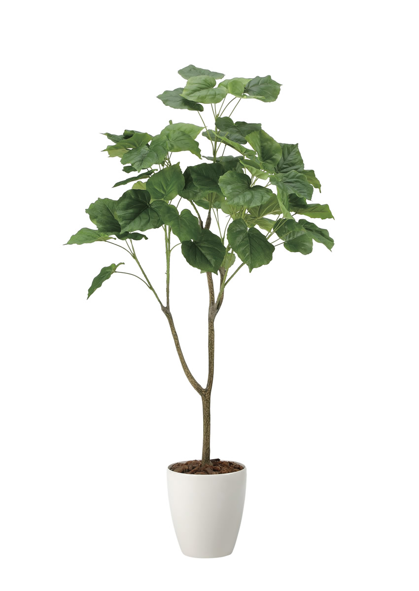 販売済み】超巨大/11/11発見【山芋の花殻】スワッグ/ドライフラワー/花