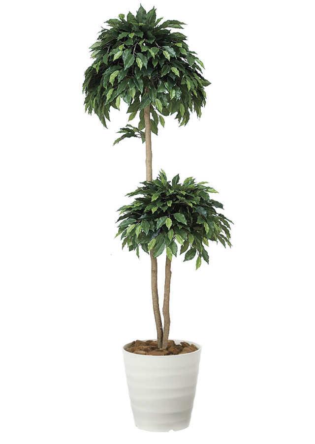 光触媒 光の楽園 ナチュラルウンベラータ1.9（組立式）【インテリア