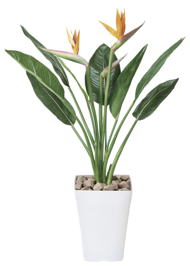 光触媒 人工観葉植物 ストレチア【光の楽園】