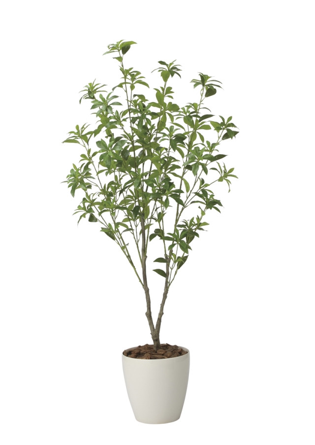 光触媒 光の楽園 ウッドボックスショウナンゴム1.8m【インテリア