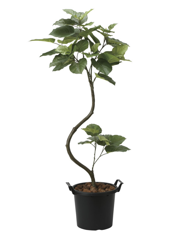 光触媒 人工観葉植物 ウンベラータ【光の楽園】