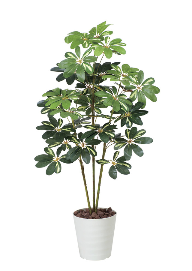 光触媒 人工観葉植物 フェイクグリーン ゴールドクレスト1.35 【公式通販】