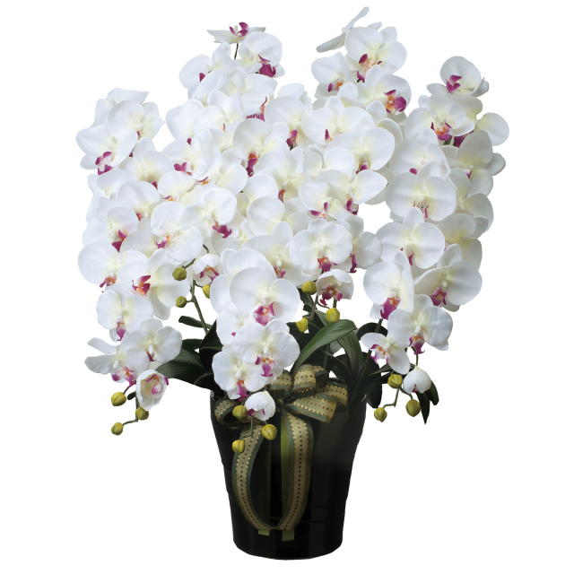 60cm以上 造花と観葉植物の専門店 光の楽園