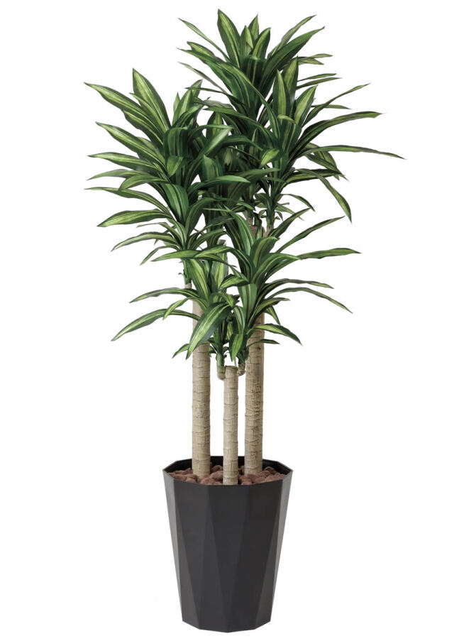 光触媒 人工観葉植物 幸福の木（ドラセナ）【光の楽園】