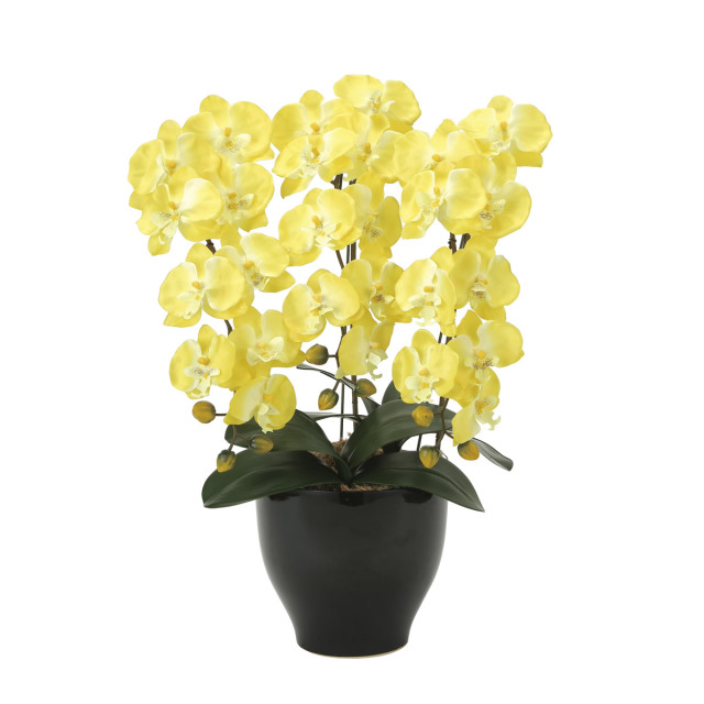 60cm以上 造花と観葉植物の専門店 光の楽園