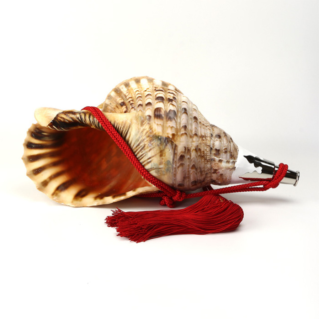 No.9 法螺貝（ほら貝） 大型 | 高級神棚・神具の通販なら伊勢宮忠