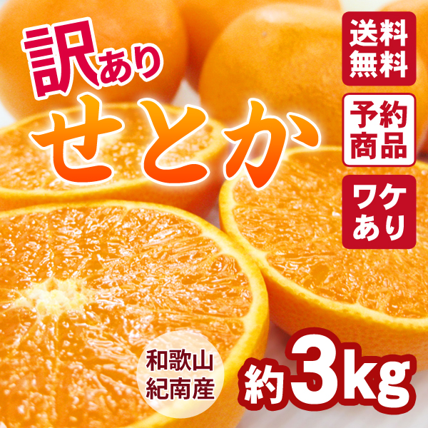 送料無料】せとか 約4kg（18～28玉入り） 紀州梅干し・みかんのJA