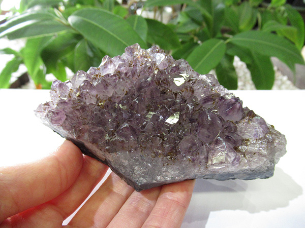 アメジスト 原石 クラスター 紫水晶 天然石専門店 販売/鬮石
