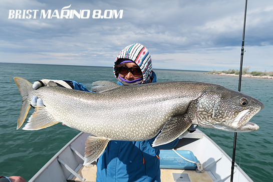 Fishman BRIST marino8.0M（ブリスト マリノ） 【シーバスルアー専門店
