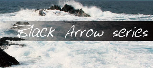 エイムス ブラックアロウBAU-77XHB アンリミテッド（Black ArrowBAU