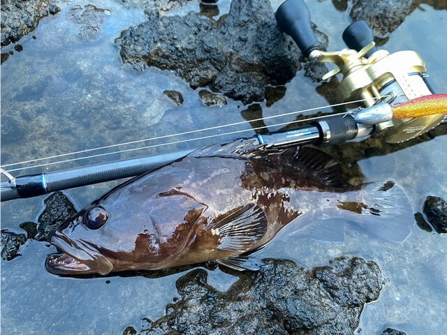 トランスセンデンス ガルッパ86B (Galupa86B)【シーバスルアー専門店