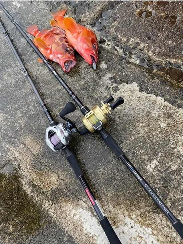 トランスセンデンス ガルッパ86B (Galupa86B)【シーバスルアー専門店