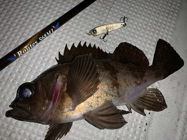 ツララ ルーツ S68ML(ROUTES S68ML) 【シーバスルアー専門店 キング