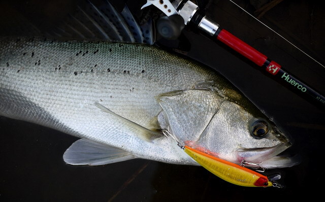 Huerco(フエルコ) XT610-4C+ 【シーバスルアー専門店 キングフィッシャー】