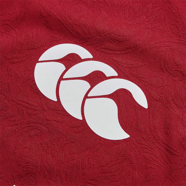 British & Irish Lions 2025 ジャージ