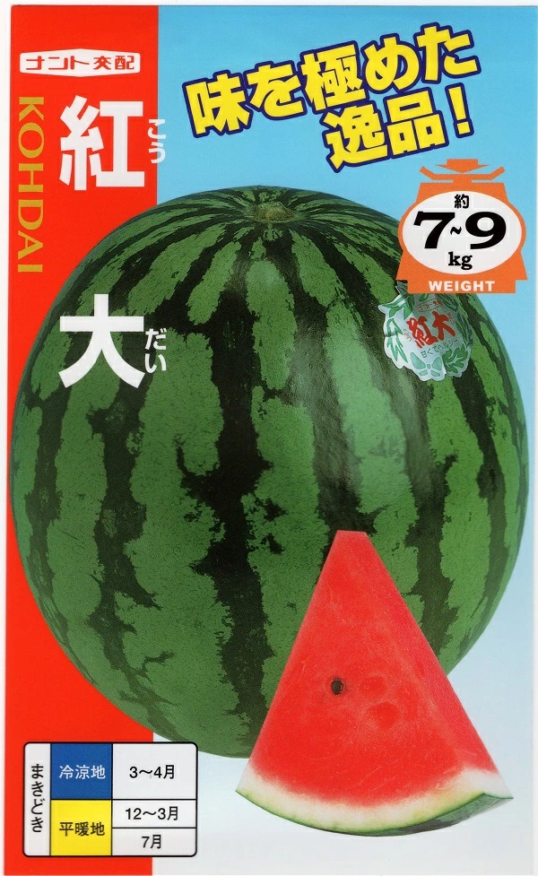 野菜種子 スイカ 紅大 ナント種苗のタネ