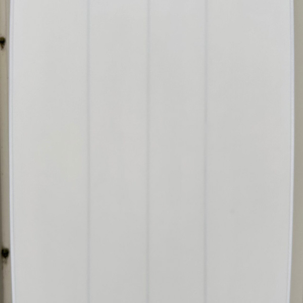 BEACHED DAYS ビーチドデイズ / AQUATIC DIVISION アクアティック