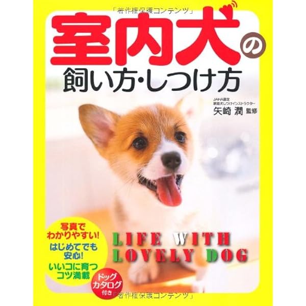 DVD付 遠藤和博の問題行動が10分でなおる 犬のしつけ スマートカラー