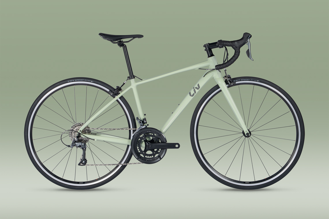 AVAIL AR 4 / AVAIL 2 に数量限定かつお買い得な特別カラー仕様が登場