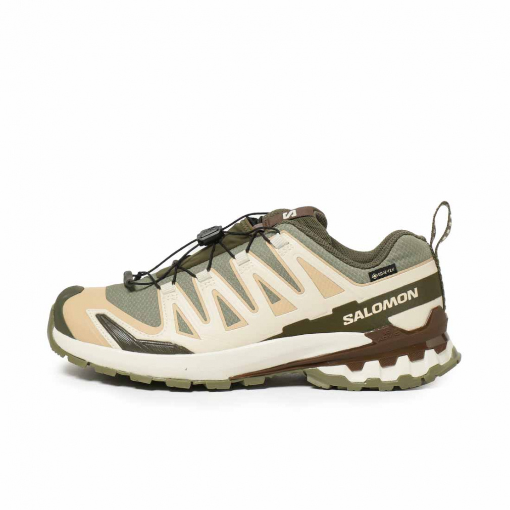 サロモン エックスエー プロ 3D V9 ゴアテックス L47820200 メンズ