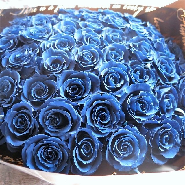 青バラの花束】 女性 人気 枯れない 青バラ 花束 大輪系 青薔薇 50本
