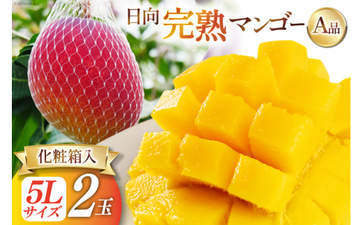 2026年夏発送】 宮崎 完熟 マンゴー 秀品 A品 5L×2玉 化粧箱入り [宮崎