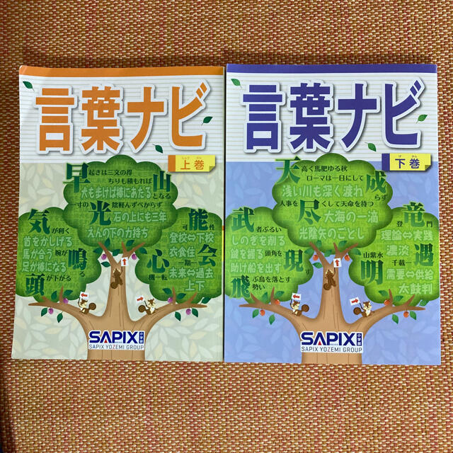 SAPIX 言葉ナビ 上下巻セットの通販 by KK's shop｜ラクマ