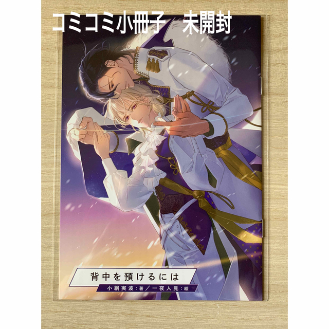 小綱実波 背中を預けるには コミコミ ポイント交換特典小冊子 非売品の
