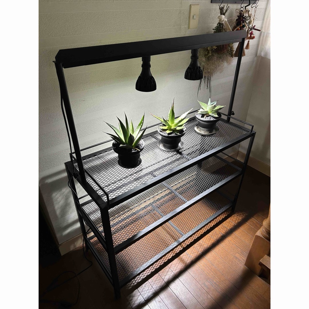 ☆送料込み☆アイアンシェルフ ライトレール付 植物棚 ボタニカル