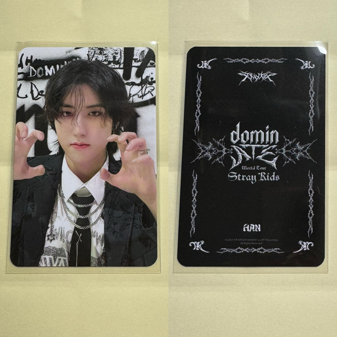 Stray Kids 5-STAR ソウルコン ラキドロ サイン入りトレカ リノ