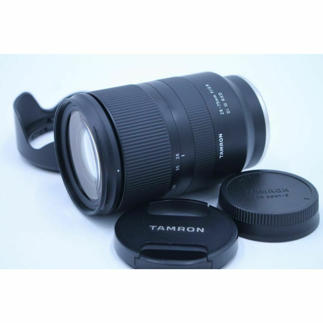 スポーツ/イベントCANON EF 75-300㎜F4-5.6 III USM スポーツ⁄イベント