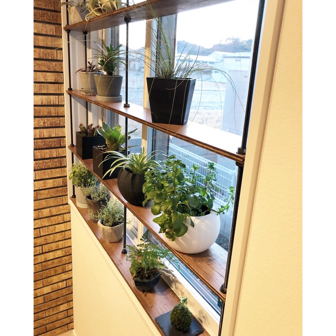 TVで紹介！窓枠における収納棚！tasty ウッドラック 壁面収納ラックの