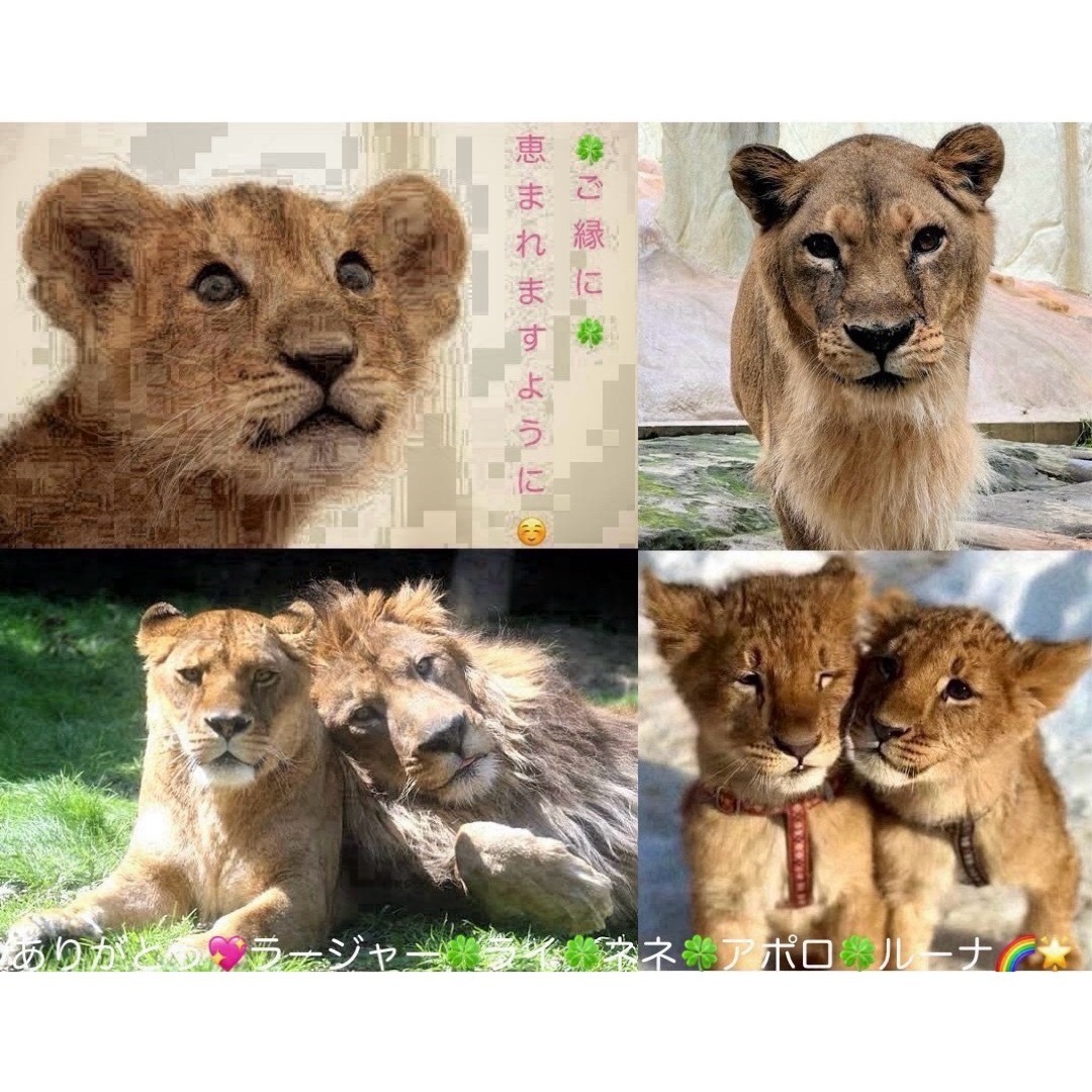 ONE PIECE ワンピース バスマット エースの通販 by シェリー's shop