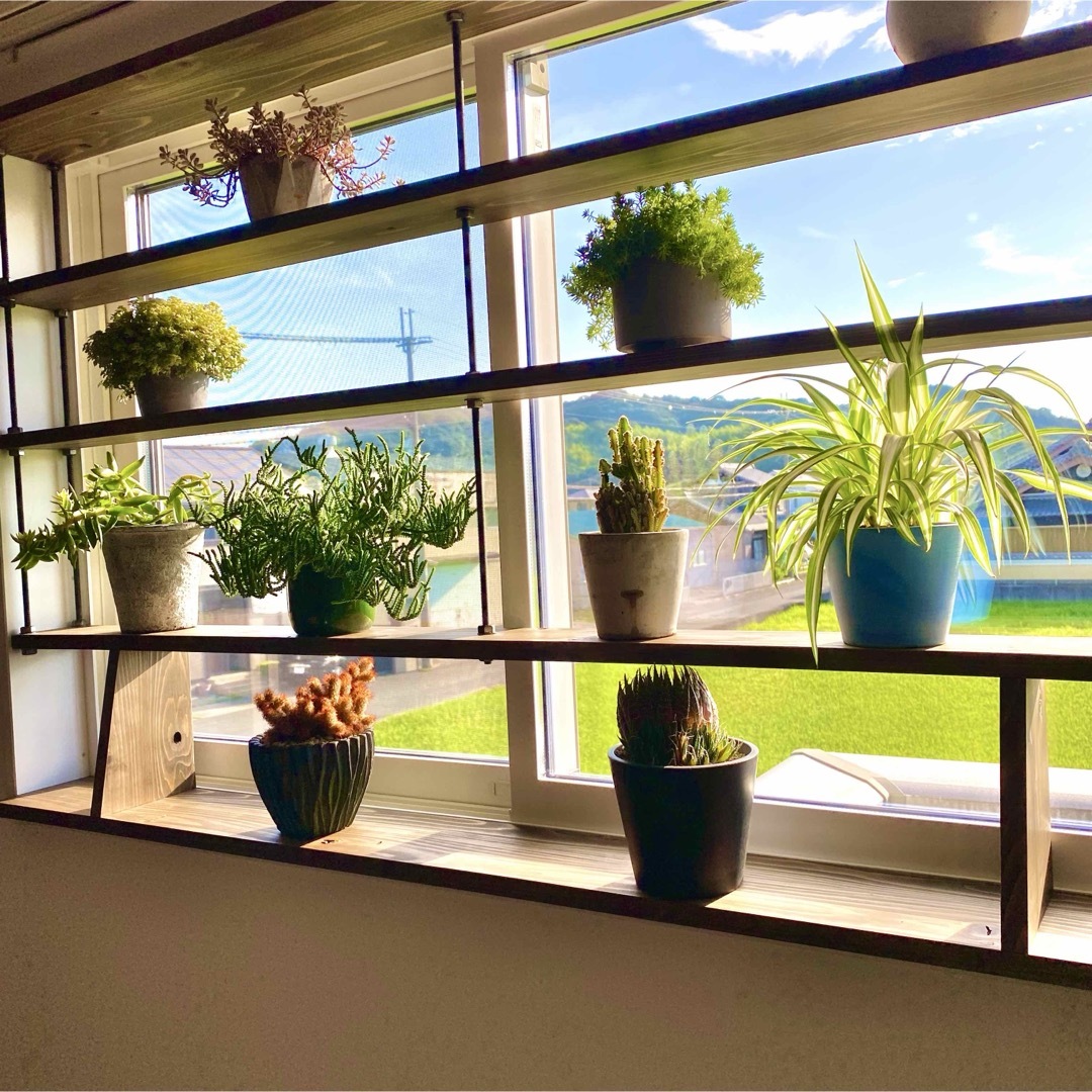 TVにて紹介されました 突っ張れて倒れない 窓枠ラック tasty 3の通販