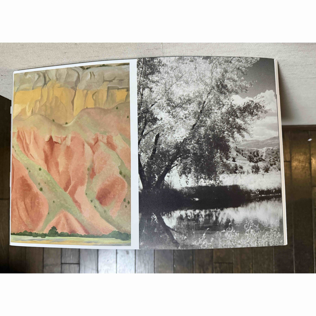 コムデギャルソン ロマンシグナー ジョージアオキーフ