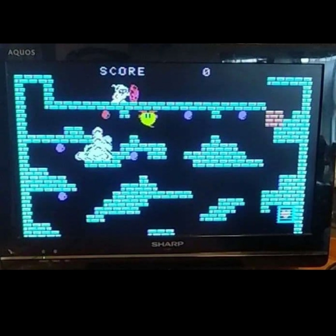 TAITO - 動作確認済み！ MSX タイトー ちゃっくんぽっぷ chack'n popの