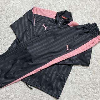 PUMA（ジャージ ・ ピンク/桃色系）のフリマアイテム一覧