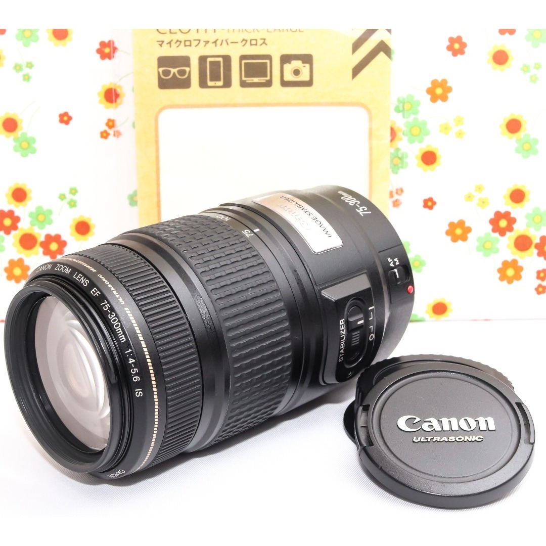 Canon - Canon EF 75-300mm IS USM☆遠くの一瞬をブレずに捉えるの通販